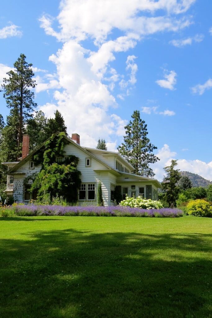 Idyllic countryside house surrounded by lavender and greenery under a bright blue sky.