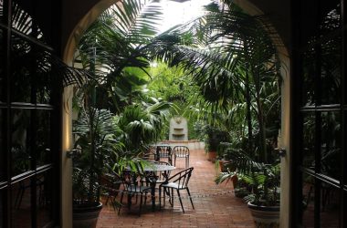 Serene outdoor patio surrounded by tropical plants in San Juan, Puerto Rico.